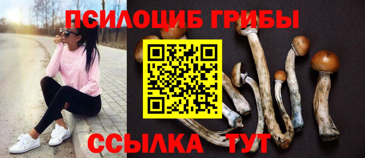 Псилоцибиновые грибы прущие грибы Трёхгорный