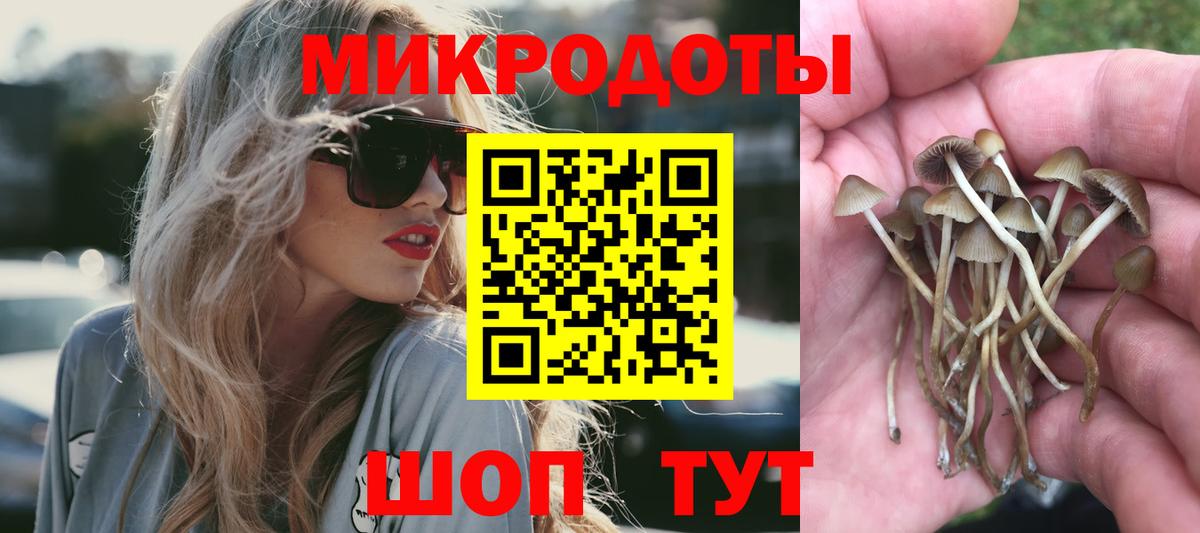 купить наркотик  Псилоцибиновые грибы Cubensis  Вход с VPN  Трёхгорный 